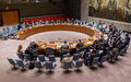 El Consejo de Seguridad de la ONU aplaude acuerdo sobre alto el fuego en Colombia