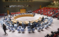 Colombia: Consejo de Seguridad define el tamaño y mandato de la Misión de la ONU para ese país