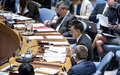 Security Council members back second UN Mission